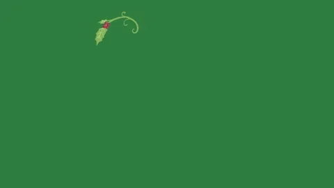 Red berry on it holly leaves berries lady bug isolated on green screen Stock Footage 336858069