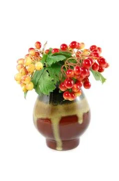 Red berry Stock Photos