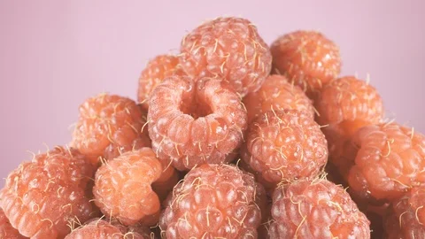 Red berry raspberry slowly turns. Pink isolated background. Stock Footage 112863396