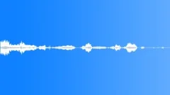 Red bill wood hopoes Sound Effect
