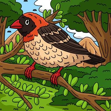 Red Billed Quelea Bird Colored Cartoon Stock Illustration