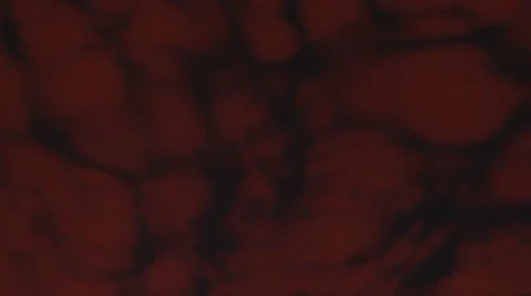 Red Billows Video stock 7752232