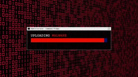 Red Binary Code Hacking Network Access Abstract Background Concept Stock Footage 231332292