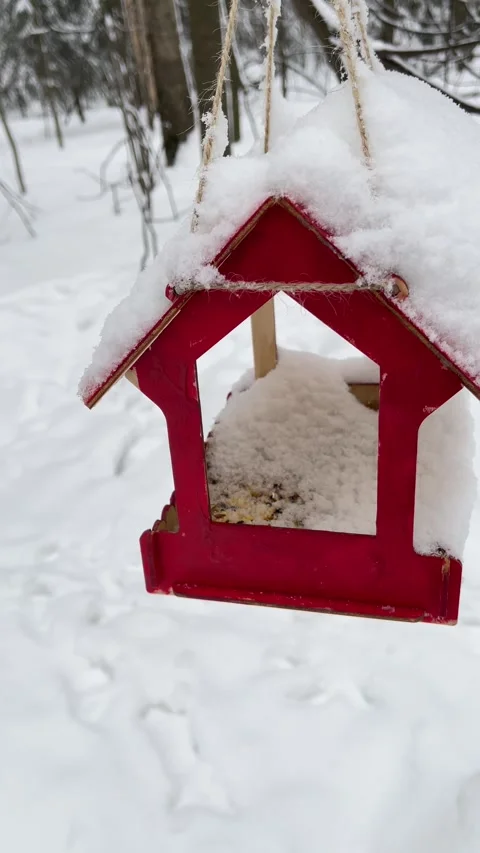 Red bird feeder covered in fresh snow hanging from a tree branch Stock Footage 289735188
