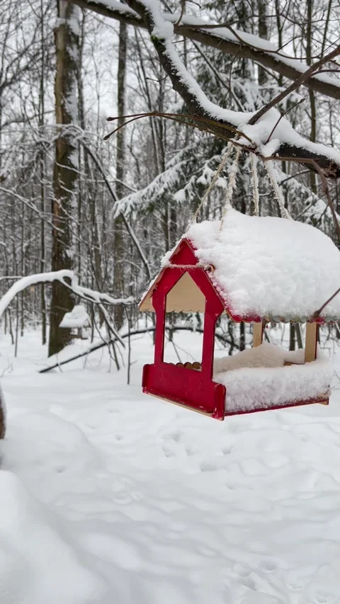 Red bird feeder covered in fresh snow hanging from a tree branch Stock Footage 289735203