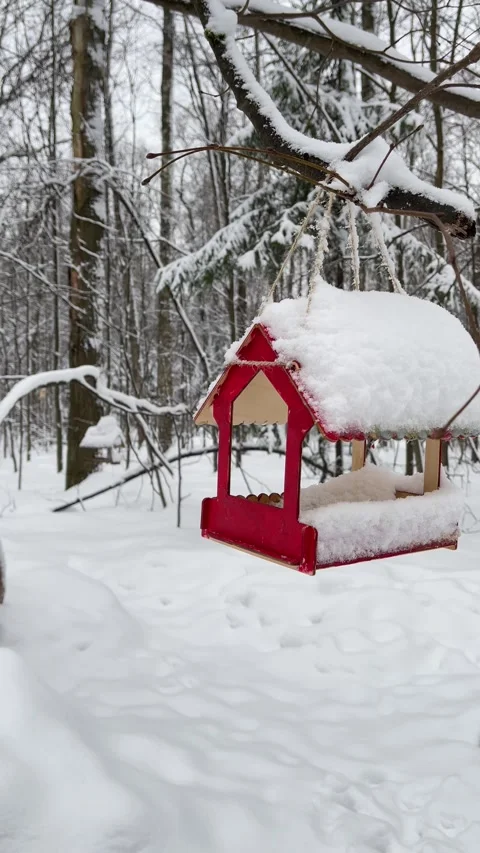 Red bird feeder covered in fresh snow hanging from a tree branch Stock Footage 289735243