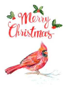 Red bird Stock Illustration