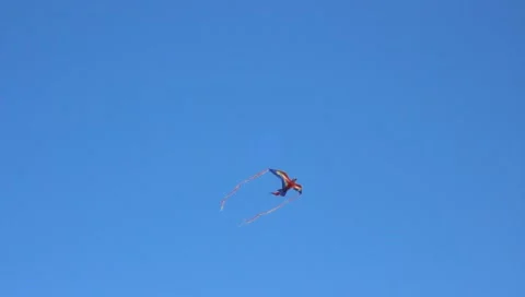 Red Bird Kite Видео 10902460