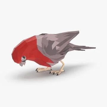 Red Bird Pecking 3D Model