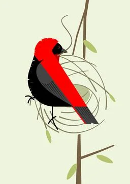 Red bishop making a nest Stock Illustration