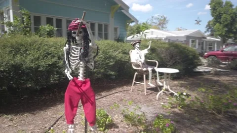 Red, black and white dressed Pirate Skeletons Stock Footage 253520844
