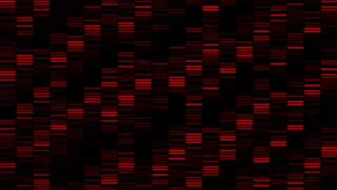 Red-black background.Motion. A bright background in which black and red colors Video stock 181609897
