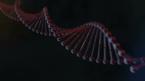 Red Black DNA Strand Chain Helix Looping Animation 4K Stock Footage 68512408