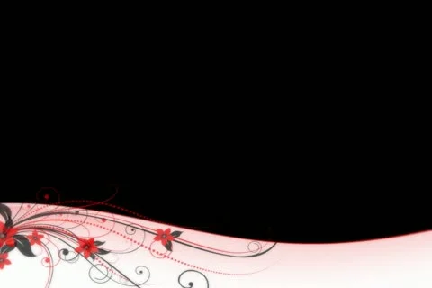 Red Black Flourish Lower Third Stock Footage 10875053