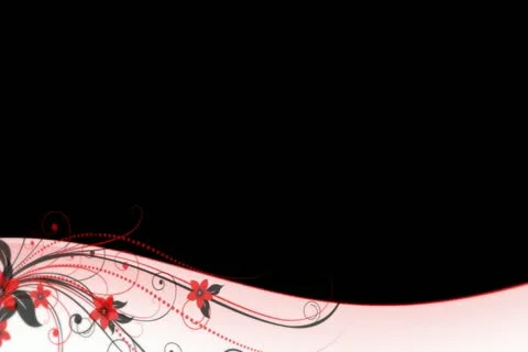 Red Black Flourish Lower Third Widescreen Stock Footage 10875117