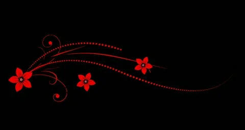 Red Black Flourish Motion Design Element 02 HD Stock Footage 10874988
