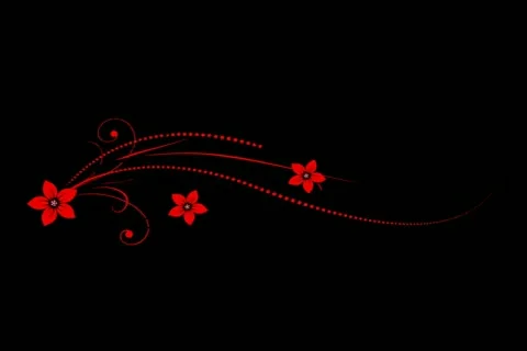Red Black Flourish Motion Design Element 02 Stock Footage 10875055