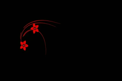 Red Black Flourish Motion Design Element 01 Widescreen Stock Footage 10875118