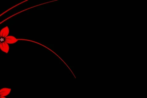 Red Black Flourish Wipe Stock Footage 10875057