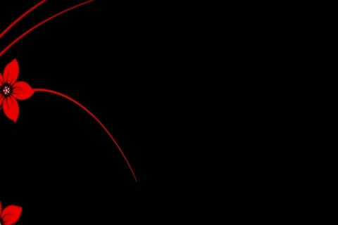 Red Black Flourish Wipe Widescreen Stock Footage 10875122