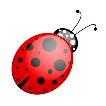 Red black ladybug Stock Illustration