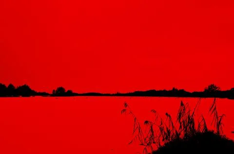 Red on black landscape Foto stock