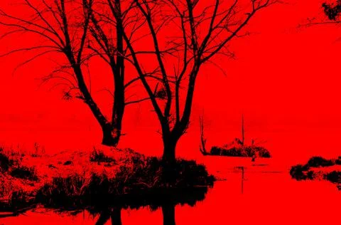 Red on black landscape Foto stock
