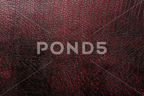 Red - black textured reptile skin, used texture for the background. Lizard or Stock Photos