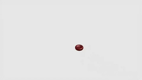 Red Blood Cell 1 Stock Footage 146184693
