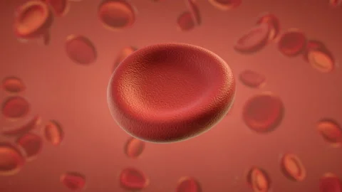 Red blood cell 3D render seamless loop animation Video stock 128668945