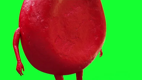 Red blood cell character. Realistic 4k green screen animation. Vídeos de archivo 296206546