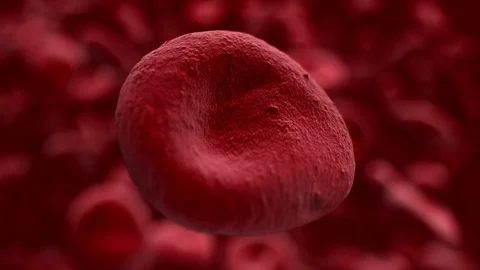 Red Blood Cell Closup | Stock Video | Pond5