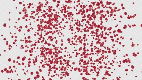 Red Blood Cell Explosion. Burst of Blood Cell. Alpha Channel Stock Footage 290173089
