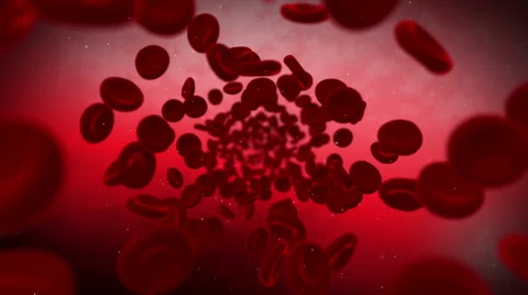Red blood cell flow through a blood vessel hd Stock Footage 45590143