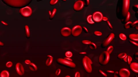 Red blood cell in fluid Stock Footage 55883624