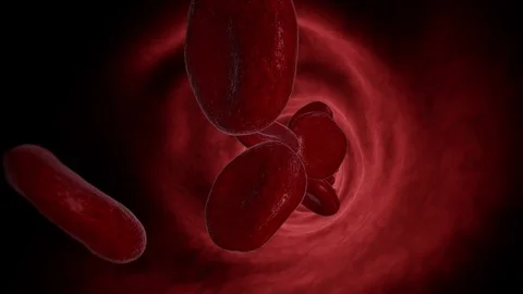 Red Blood Cell Stock Footage 73323166