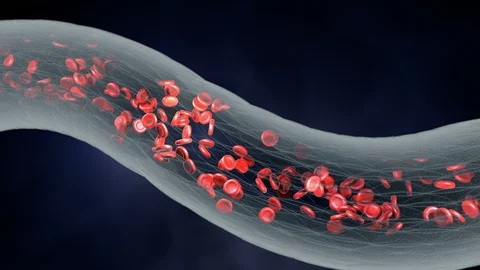 Red blood cell Stock Footage 86652077