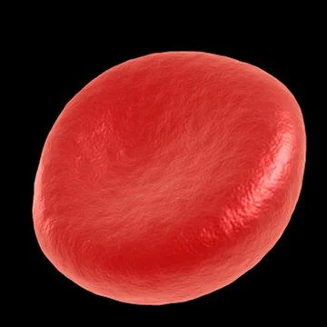 Red blood cell Illustrazione stock