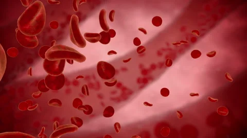 Red blood cell, inside human organism view Stock Footage 59553821