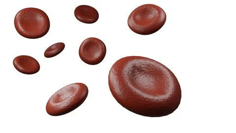 Red Blood Cell isolated, 3D render Stock Photos