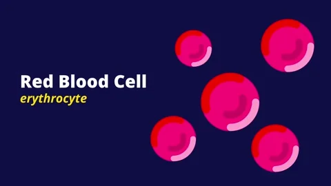 Red Blood Cell Labeling Stock Footage 335639553