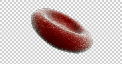 Red Blood Cell Orbit 動画素材 44028673