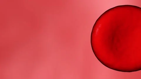 The red blood cell rotates in a circle on a red background Stock-Footage 157583251