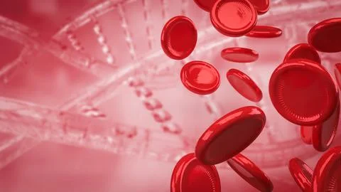 The Red Blood cell for Sci or medical concept 3d Rendering. 스톡 사진