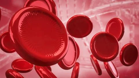 The Red Blood cell for Sci or medical concept 3d Rendering. 스톡 사진