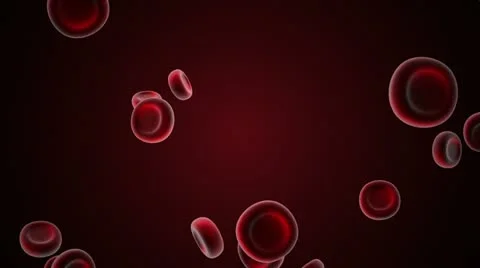 Red Blood Cells 1 Video stock 10936611