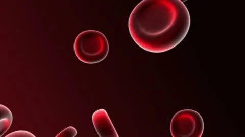 Red Blood Cells 2 Video stock 10936885