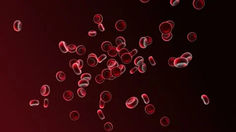 Red Blood Cells 3 Stock-Footage 10936974