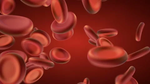 Red blood cells 3D render animation Stock Footage 128668510