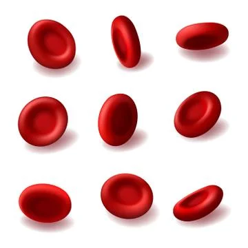 Red blood cells 3d vector hemoglobin, hematology Stock Illustration